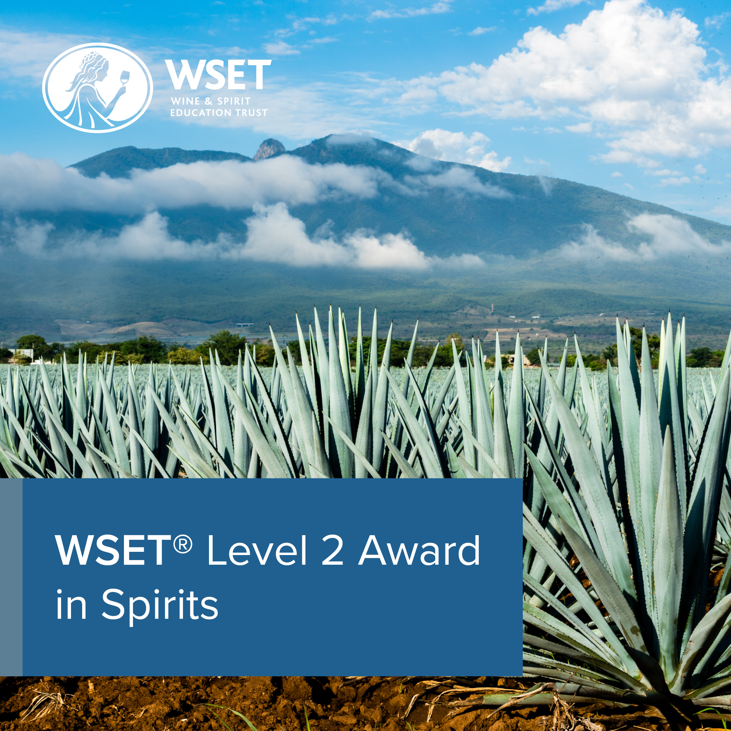 WSET Level 2 Wines E-learning edition